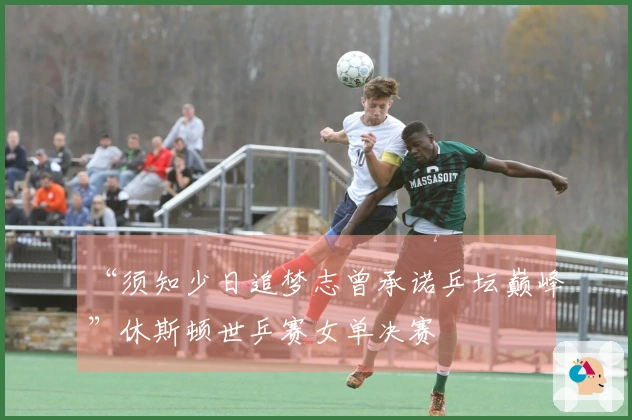 “须知少日追梦志曾承诺乒坛巅峰”休斯顿世乒赛女单决赛