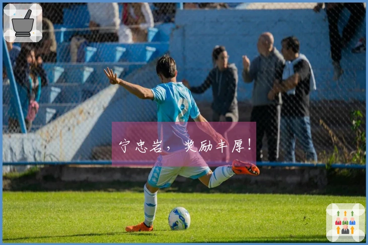 宁忠岩，奖励丰厚！